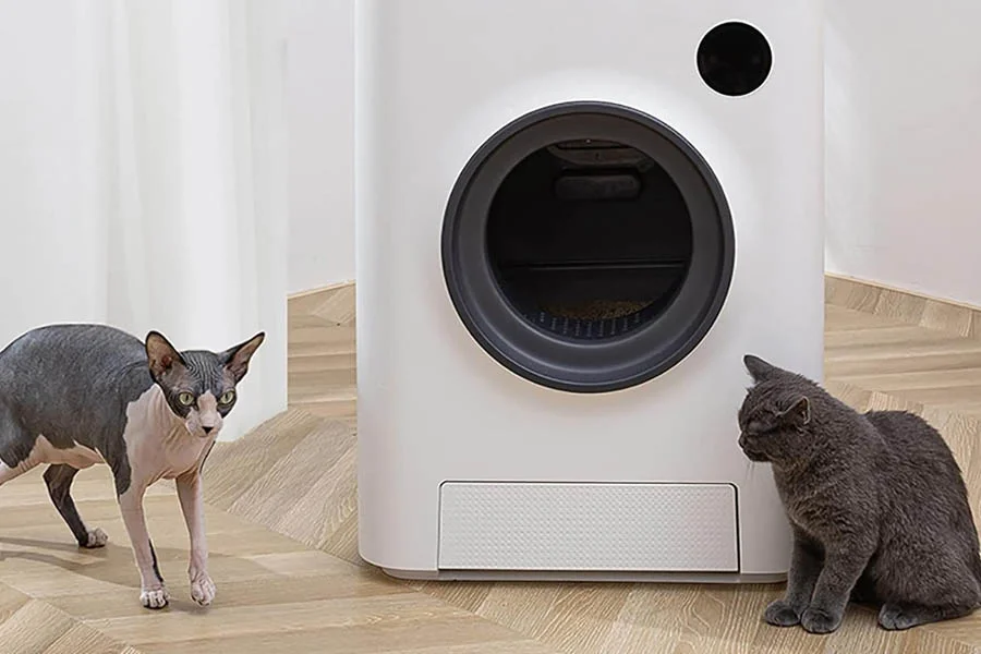 best litter box for kittens
